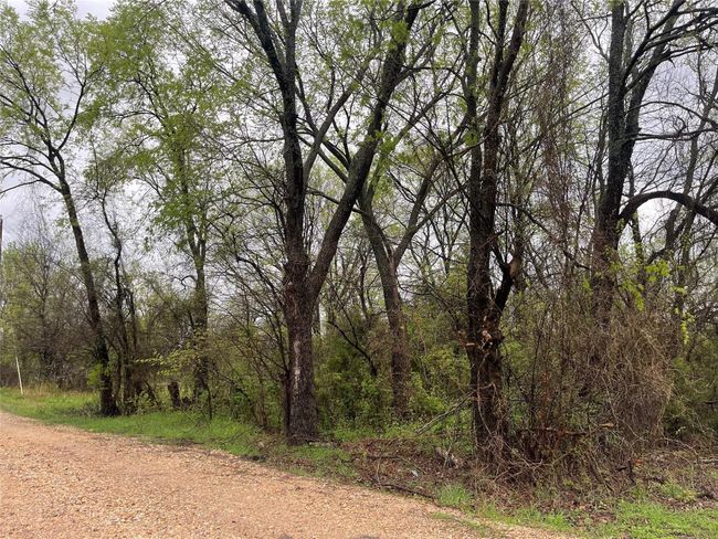 View of landscape | Image 4