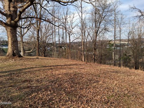 Lot 5 Sandpiper Ct, Kodak, TN, 37764 | Card Image