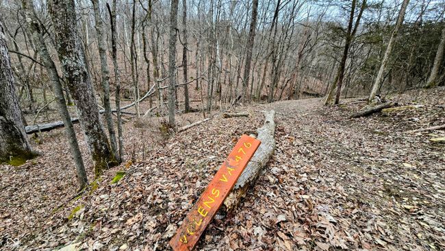 5900 S County Road 700 E, Home with 0 bedrooms, 0 bathrooms and null parking in Dillsboro IN | Image 18