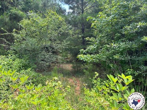 TBD County Road 4342, Bivins, TX, 75555 | Card Image