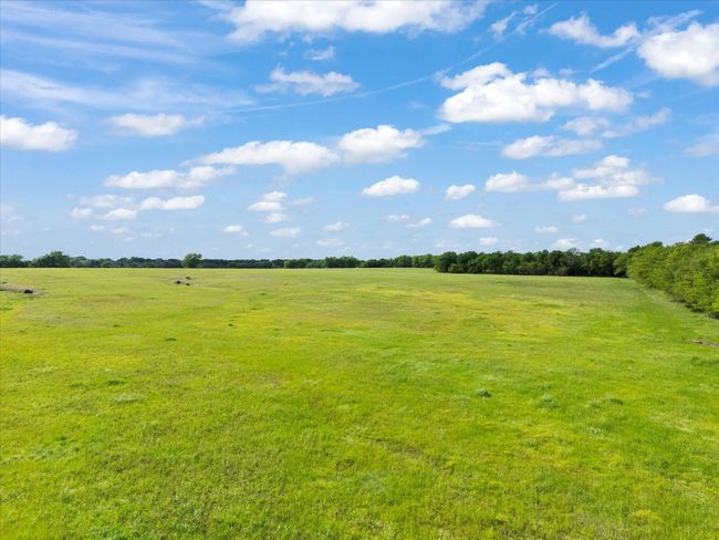 pasture | Image 6