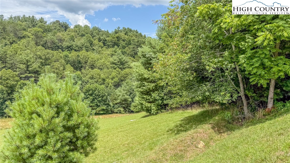 Land in Jefferson 5