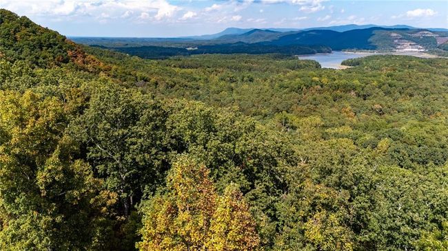 0 Carters Overlook Dr, Home with 0 bedrooms, 0 bathrooms and null parking in Ranger GA | Image 9