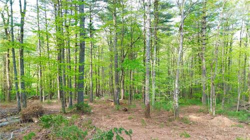 Lot 15 Walden Ln, West Jefferson, NC, 28694 | Card Image