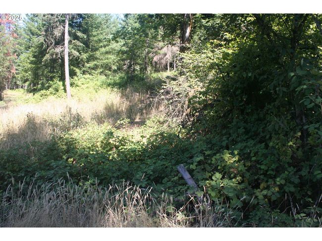 3647 Briar Knob Loop Ne, Home with 0 bedrooms, 0 bathrooms and null parking in Scotts Mills OR | Image 10