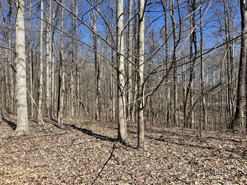 297 Tennis Center Dr, Smithville, TN, 37166 | Card Image