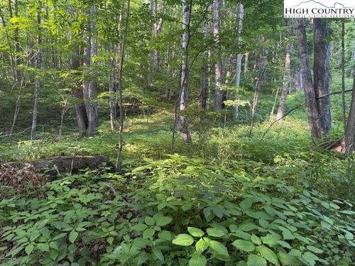 58 Beechwood Circle, Creston, NC, 28615 | Card Image