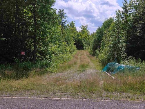 13856 Section 16 Road, Covington, MI, 49919 | Card Image