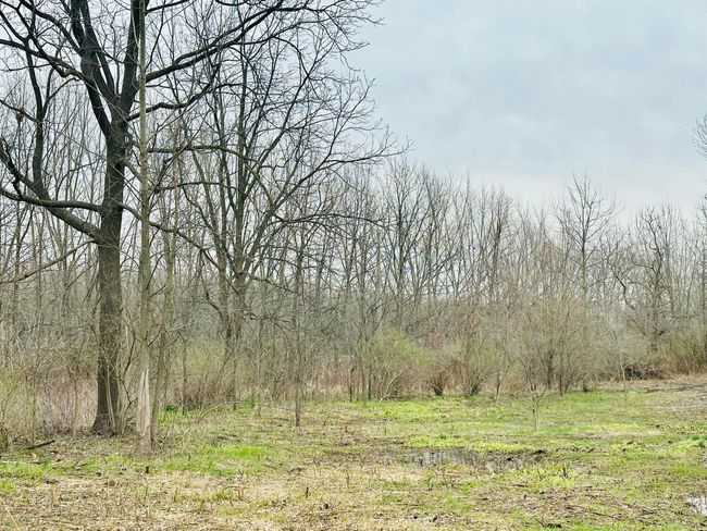 9605 Holden Rd, Home with 0 bedrooms, 0 bathrooms and null parking in Baroda MI | Image 7