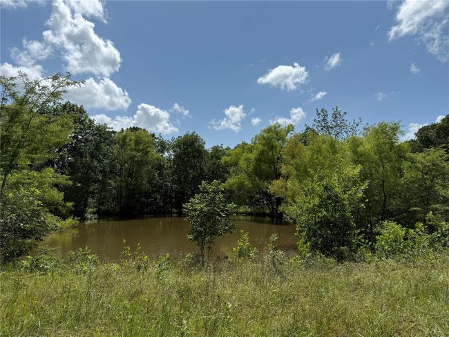 Water view featuring a heavily wooded area | Image 7