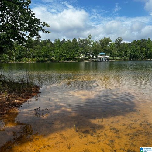 146-41 County Road 202, Crane Hill, AL, 35053 | Card Image