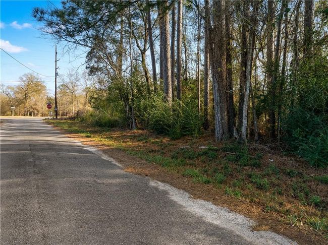 0 Highway 167, Home with 0 bedrooms, 0 bathrooms and null parking in Dry Prong LA | Image 10