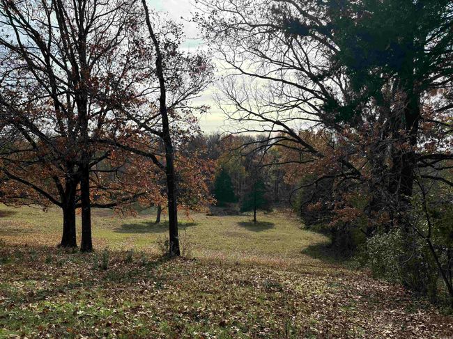 00 Cadron Gap Rd, Home with 0 bedrooms, 0 bathrooms and null parking in Conway AR | Image 37