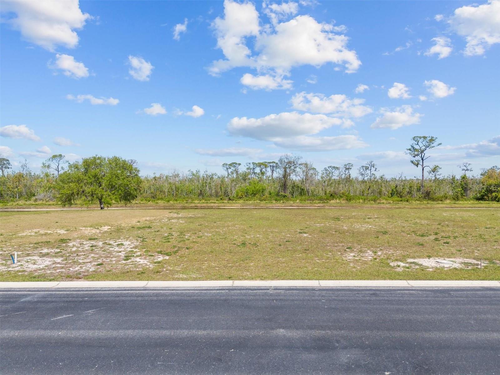 Land in AUBURNDALE 3