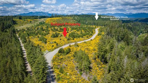 1 California Rd, Shelton, WA, 98584 | Card Image