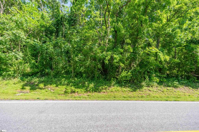 33 Raptor Way, Home with 0 bedrooms, 0 bathrooms and null parking in Landrum SC | Image 8