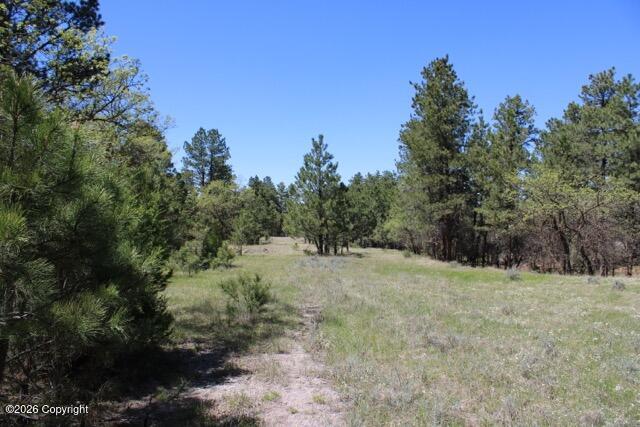Land in Hulett 5