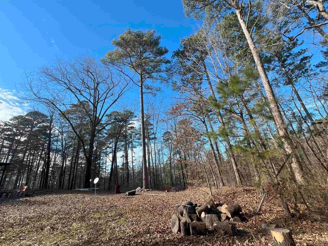 1011 Polk Road 38, House other with 2 bedrooms, 2 bathrooms and null parking in Hatfield AR | Image 10