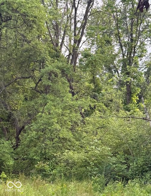 2972 Opal St, Indianapolis, IN, 46268 | Card Image