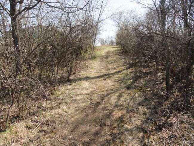 10.45 Acres Ringhand Rd, Home with 0 bedrooms, 0 bathrooms and null parking in SYLVESTER WI | Image 43