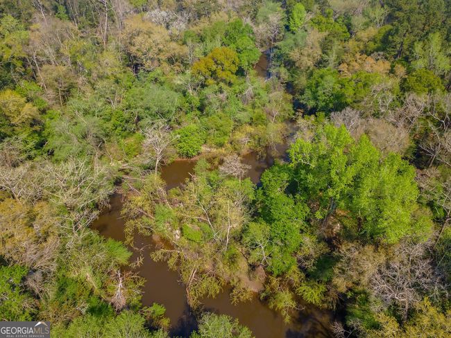4103 Hadley Ferry Rd, House other with 2 bedrooms, 3 bathrooms and null parking in CAIRO GA | Image 51