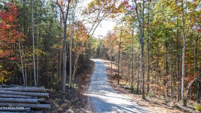 101 Cherokee Path, Home with 0 bedrooms, 0 bathrooms and null parking in Tellico Plains TN | Image 3