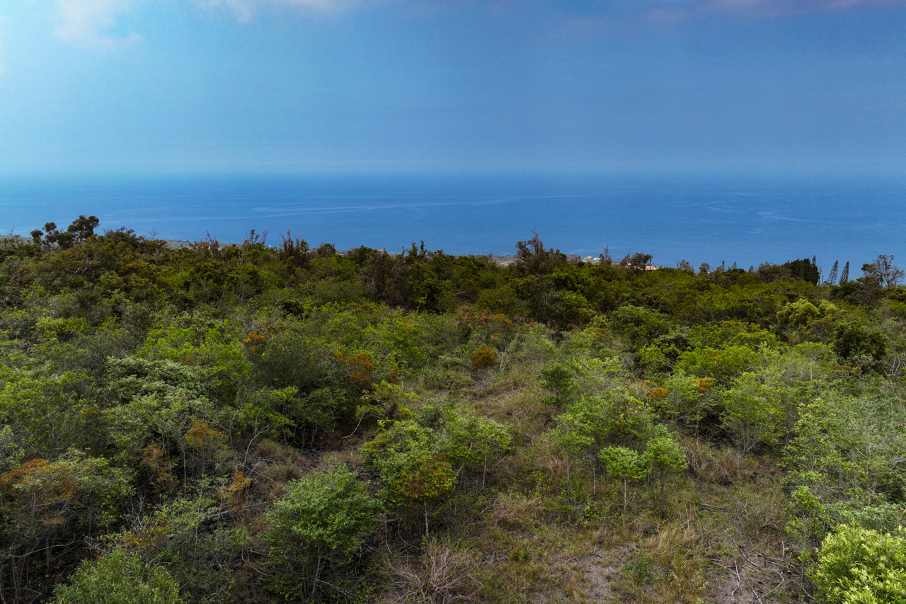 Land in Captain Cook 3