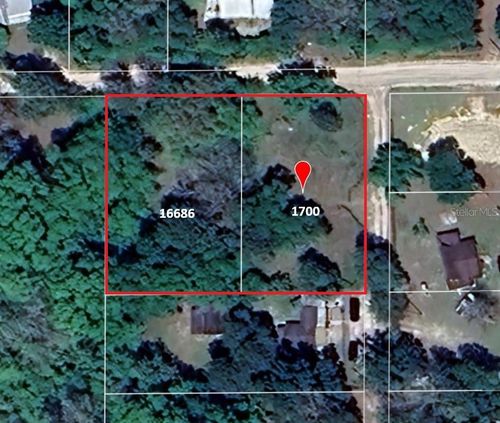 16686 Ne 17th Pl, Silver Springs, FL, 34488-4915 | Card Image