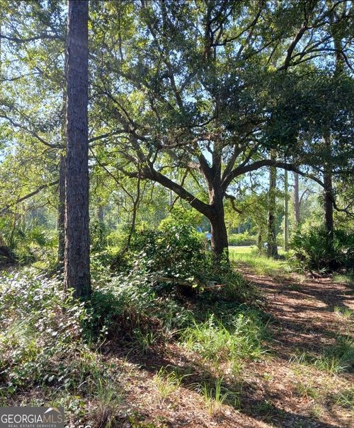 3027 Incachee Rd, Waverly, GA, 31565-4253 | Card Image