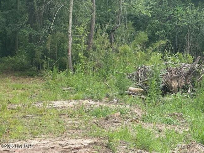 751 Stack Turner Rd, Home with 0 bedrooms, 0 bathrooms and null parking in Chadbourn NC | Image 13