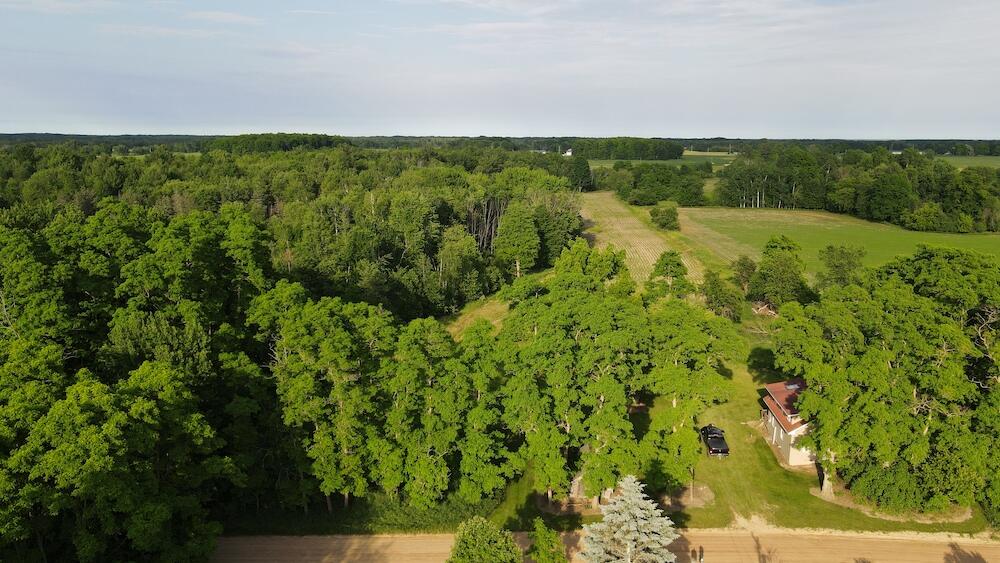Mogg Rd, Prescott, MI 48756