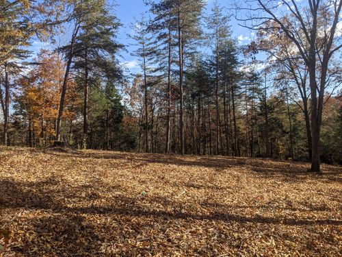 12 The Village Of Dale Hollow, Burkesville, KY, 42717 | Card Image