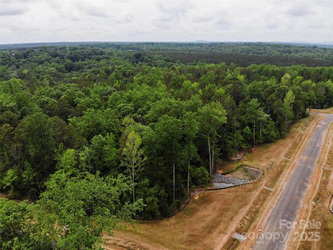Lot 12 American Bittern Way, Home with 0 bedrooms, 0 bathrooms and null parking in Clover SC | Image 19