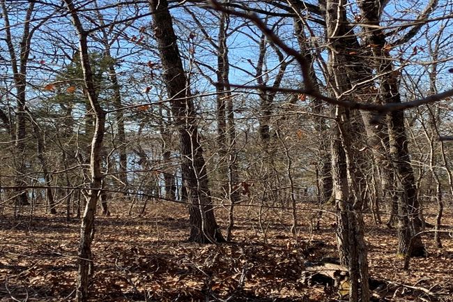 Lakeview lot fall | Image 43