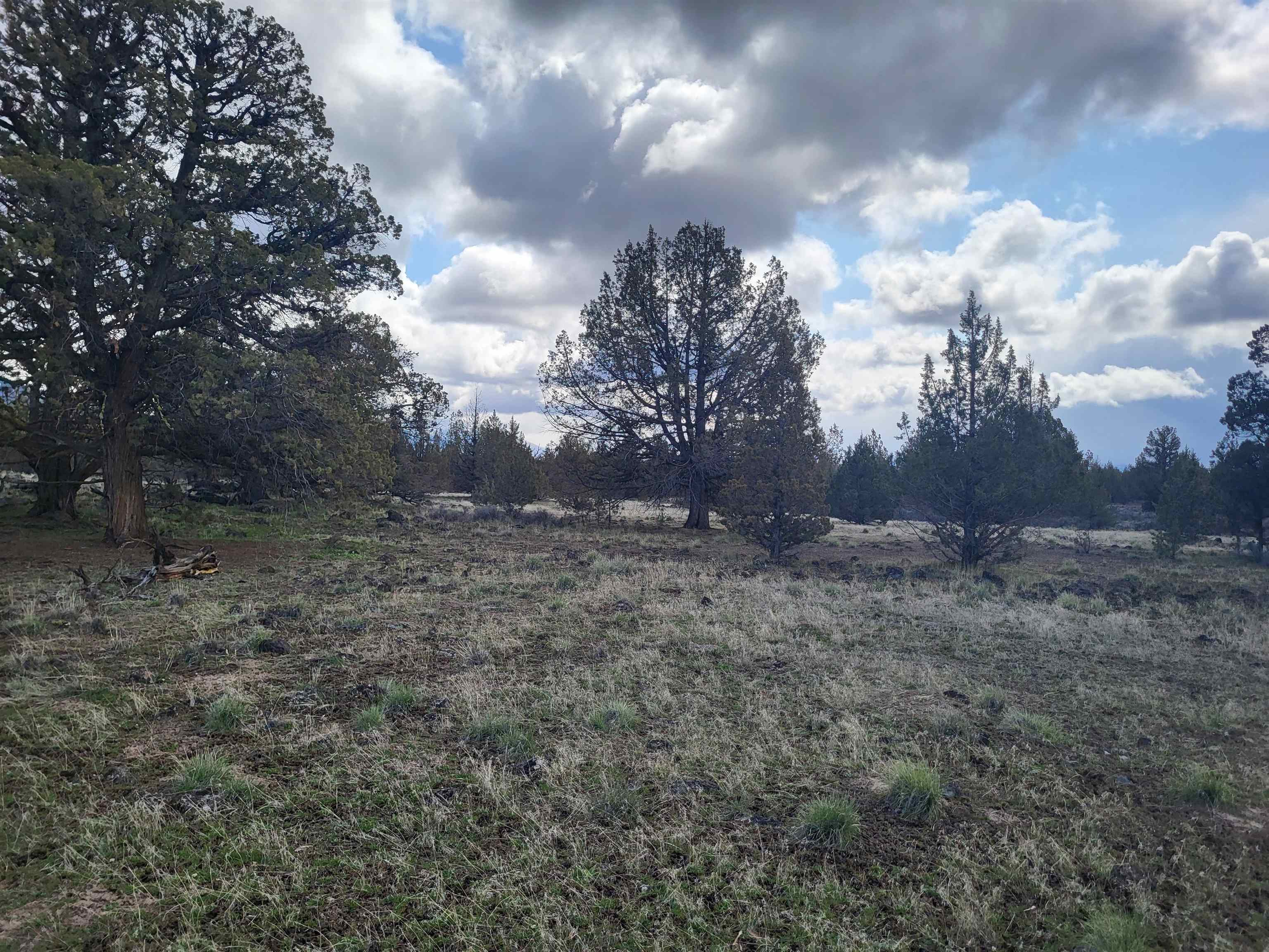 Land in Montague 5
