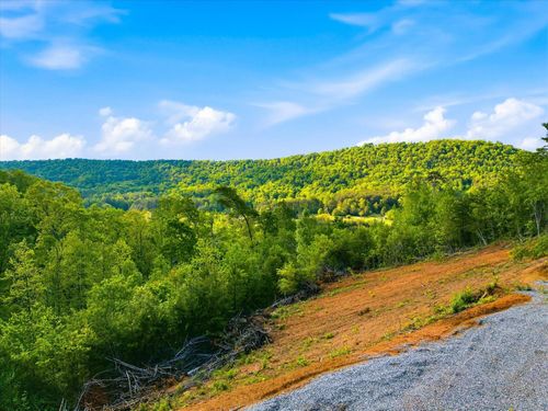 1776 Fairview Rd, Tellico Plains, TN, 37385-4818 | Card Image