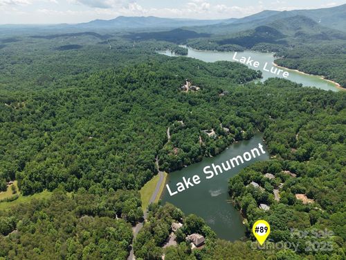 lot-89-00 Searcy Ct, Lake Lure, NC, 28746 | Card Image