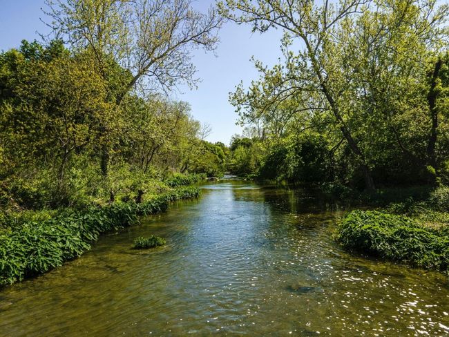 Water view | Image 4