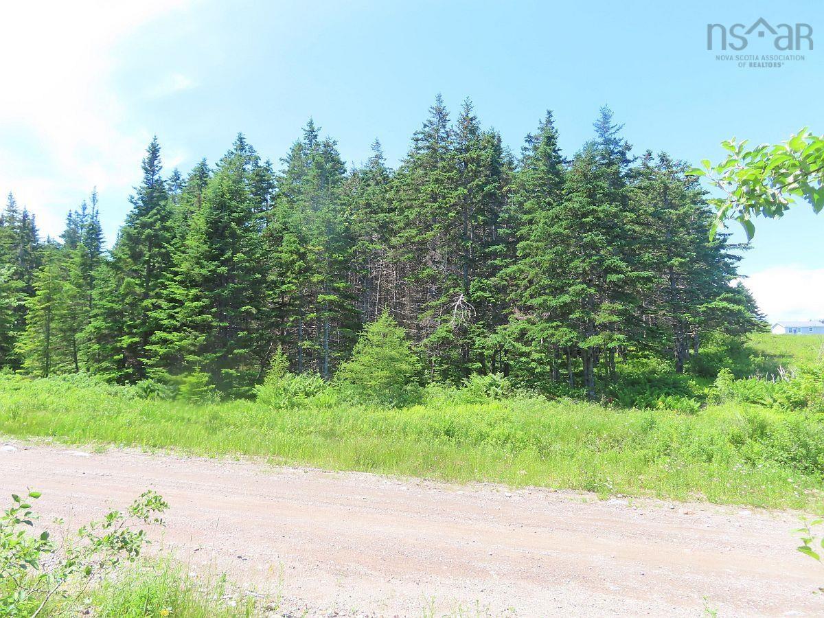 Land in Upper Grand Mira 5