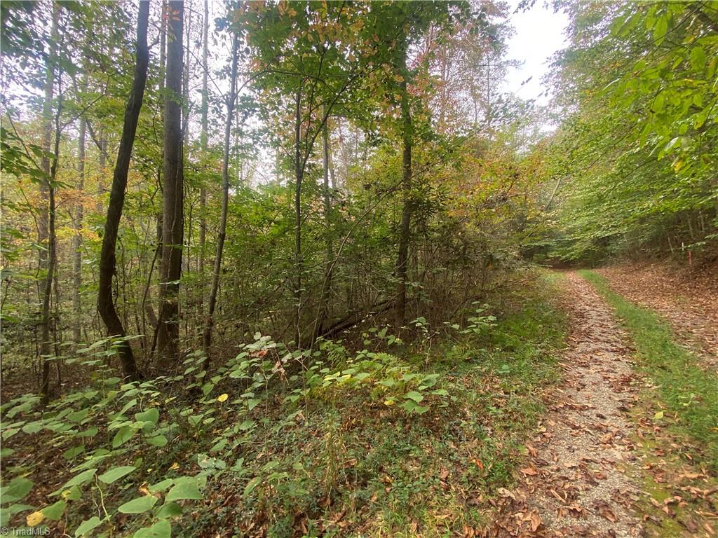 Land in North Wilkesboro 4