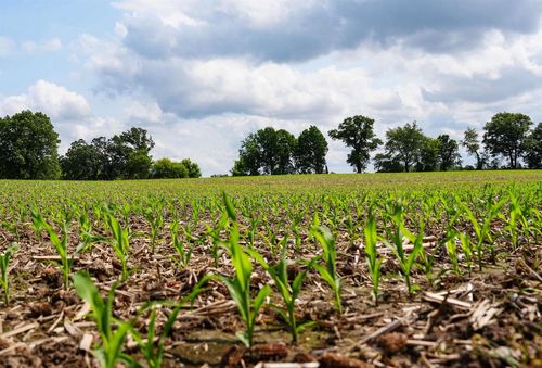 W11851 Highway 16/60, ELBA, WI, 53925 | Card Image