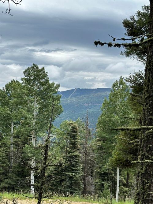 Lot 42 Alcalde Trl, Angel Fire, NM, 87710 | Card Image