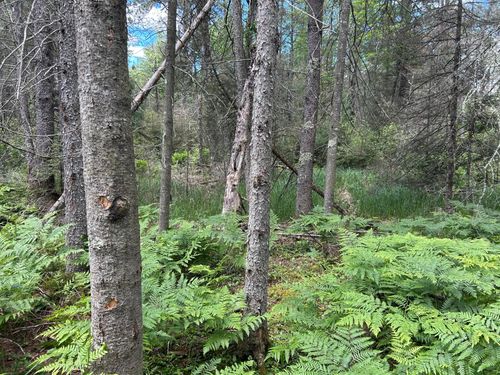 Lot off Melody Dr, St. Germain, WI, 54558 | Card Image