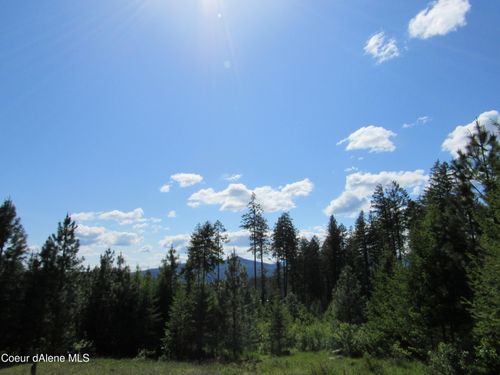7063 S Buckrail Rd, Harrison, ID, 83833 | Card Image