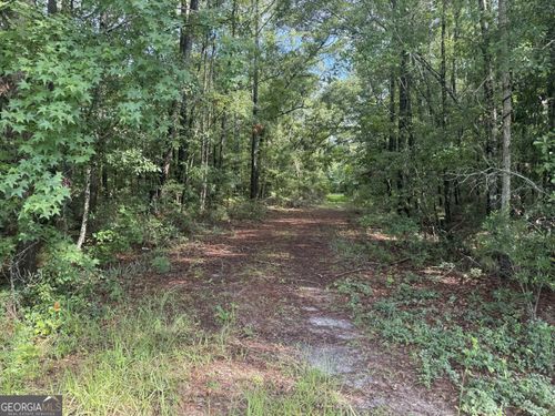 68 Johnson Road, Richmond Hill, GA, 31324 | Card Image