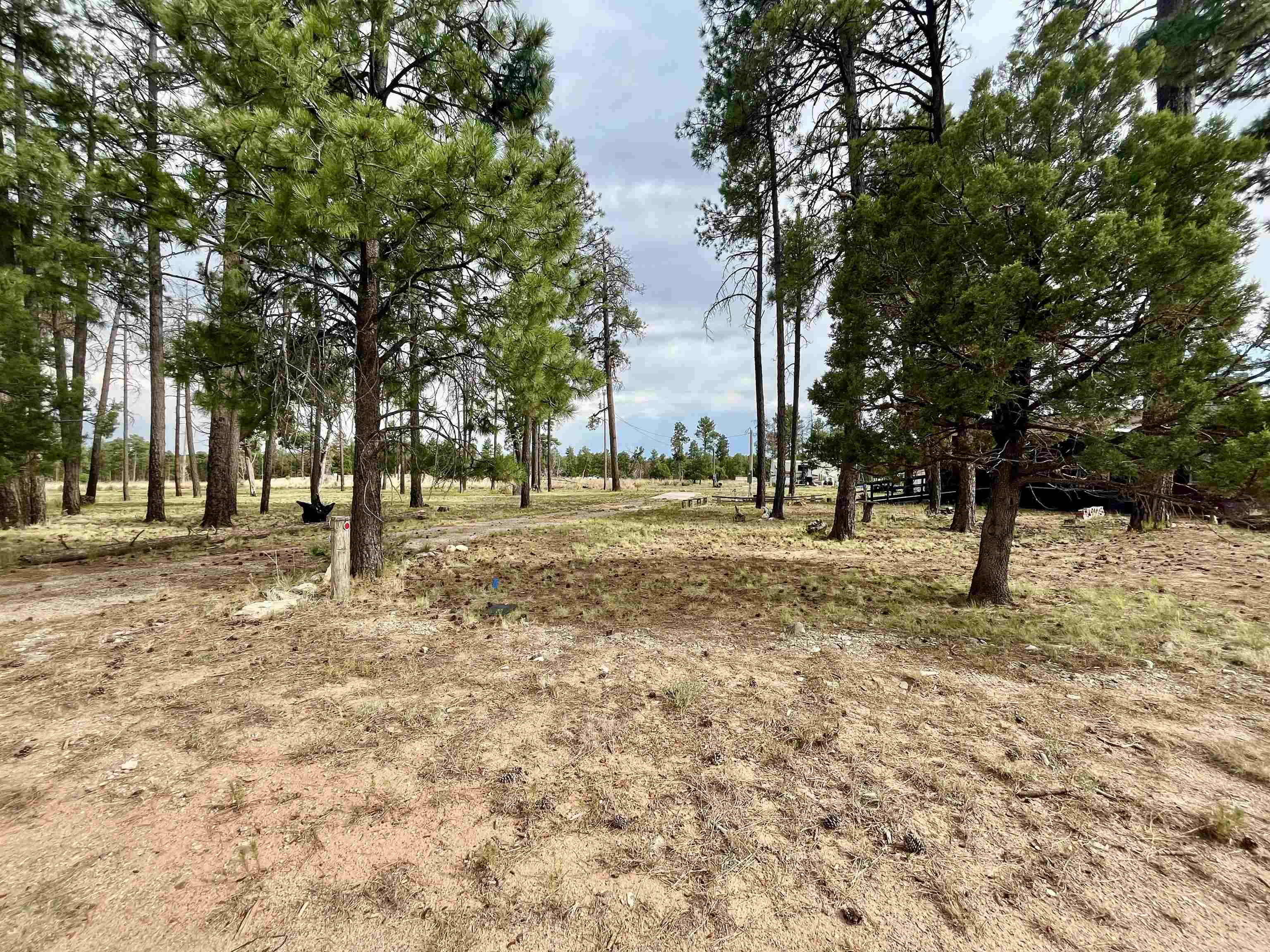 Residential in Timberon 5