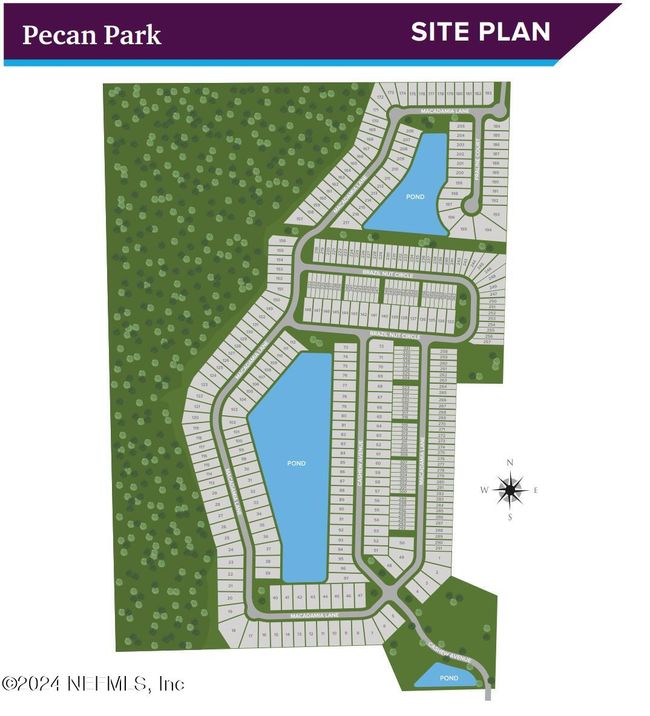 244 - 143 Brazil Nut Cir, Townhouse with 3 bedrooms, 3 bathrooms and null parking in Jacksonville FL | Image 5