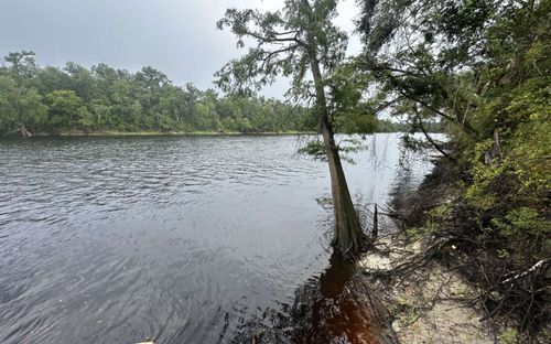 484 Nw Whitewater Trl N, MAYO, FL, 32066 | Card Image