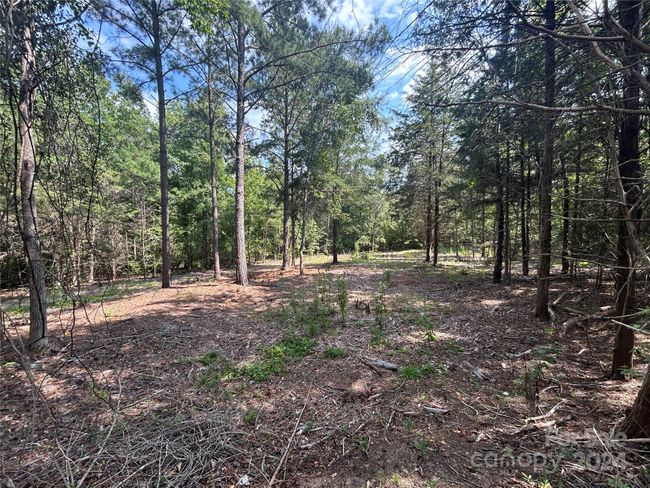 5630 Woodsferry Rd, Home with 0 bedrooms, 0 bathrooms and null parking in Carlisle SC | Image 11
