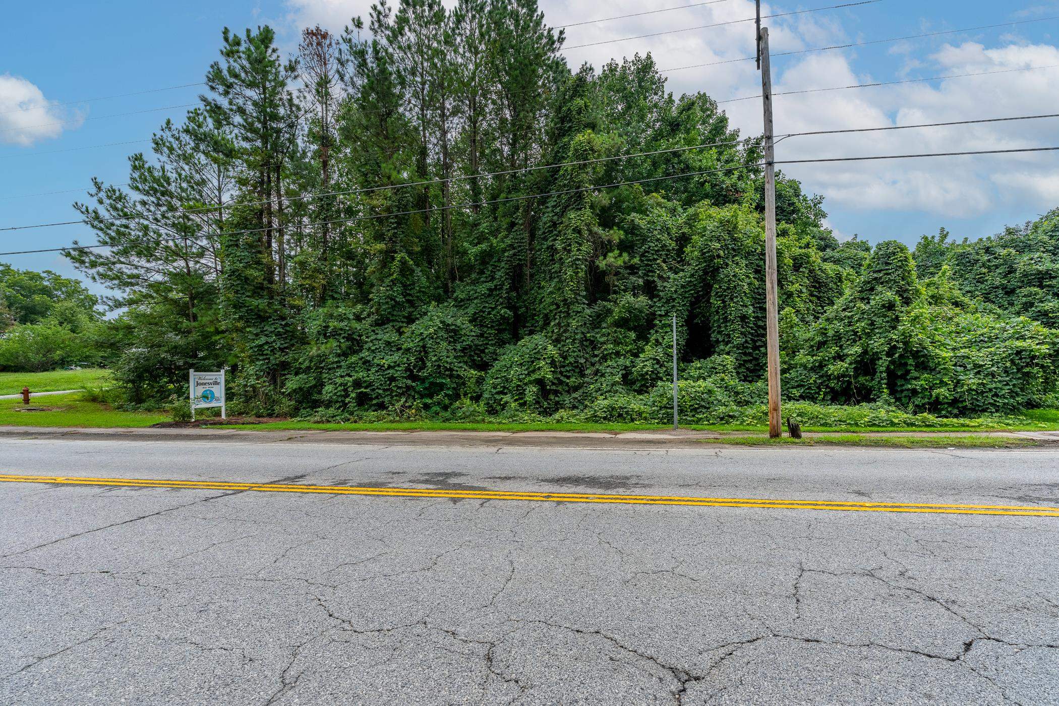 Land in Jonesville 3